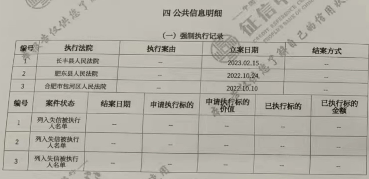 征信報(bào)告，強(qiáng)制執(zhí)行